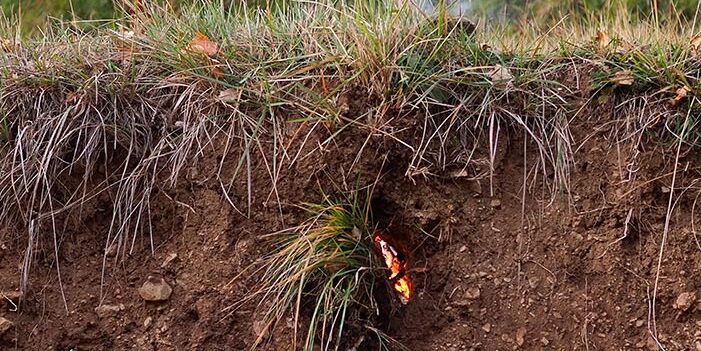 AL COR DEL FANG, Jan Madrenas Girbau, España