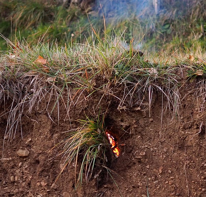 INDYGAMA, Anna-Maria Bakhtiarova, India